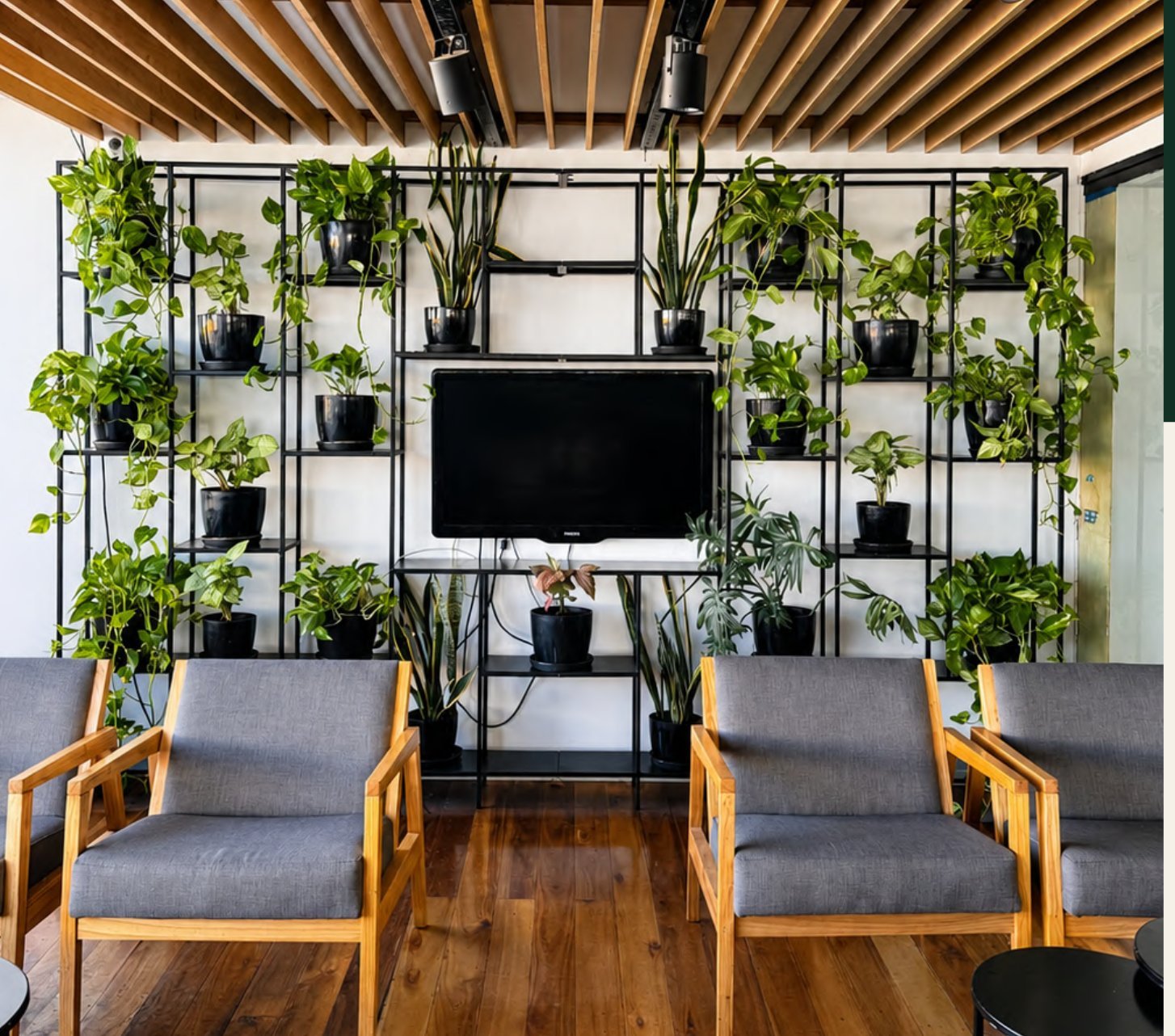 Living wall de plantas de interior instalado en la estación de servicio Shell, Ruta 88 Mar del Plata