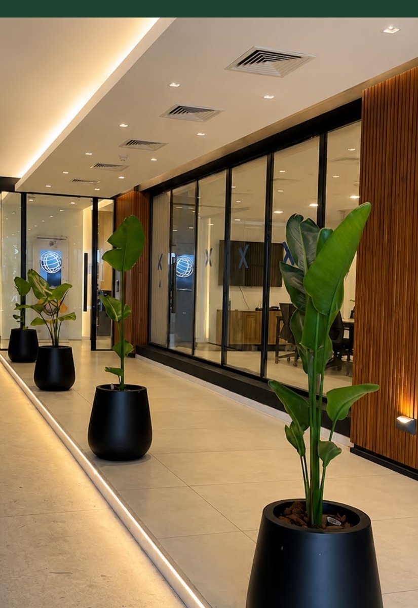 Palmeras en macetas colocadas en el hall de H. Ledesma Desarrollos Inmobiliarios, Mar del Plata